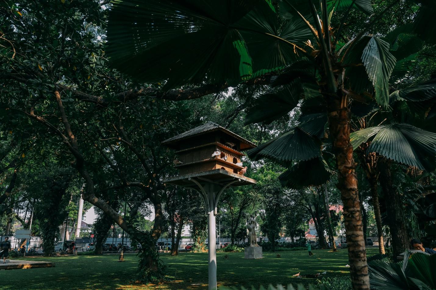 ruang terbuka hijau di taman suropati Jakarta