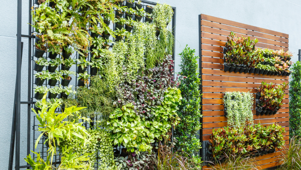 contoh gambar vertical garden 